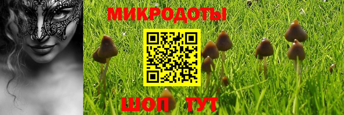 Псилоцибиновые грибы мухоморы Пыть-Ях