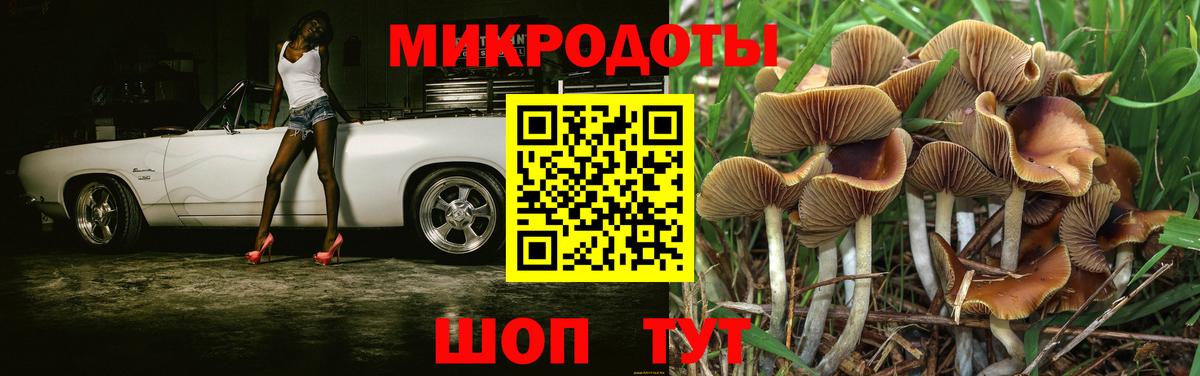 Псилоцибиновые грибы GOLDEN TEACHER  Галлюциногенные грибы Psilocybine cubensis  Пыть-Ях  Вход с VPN 